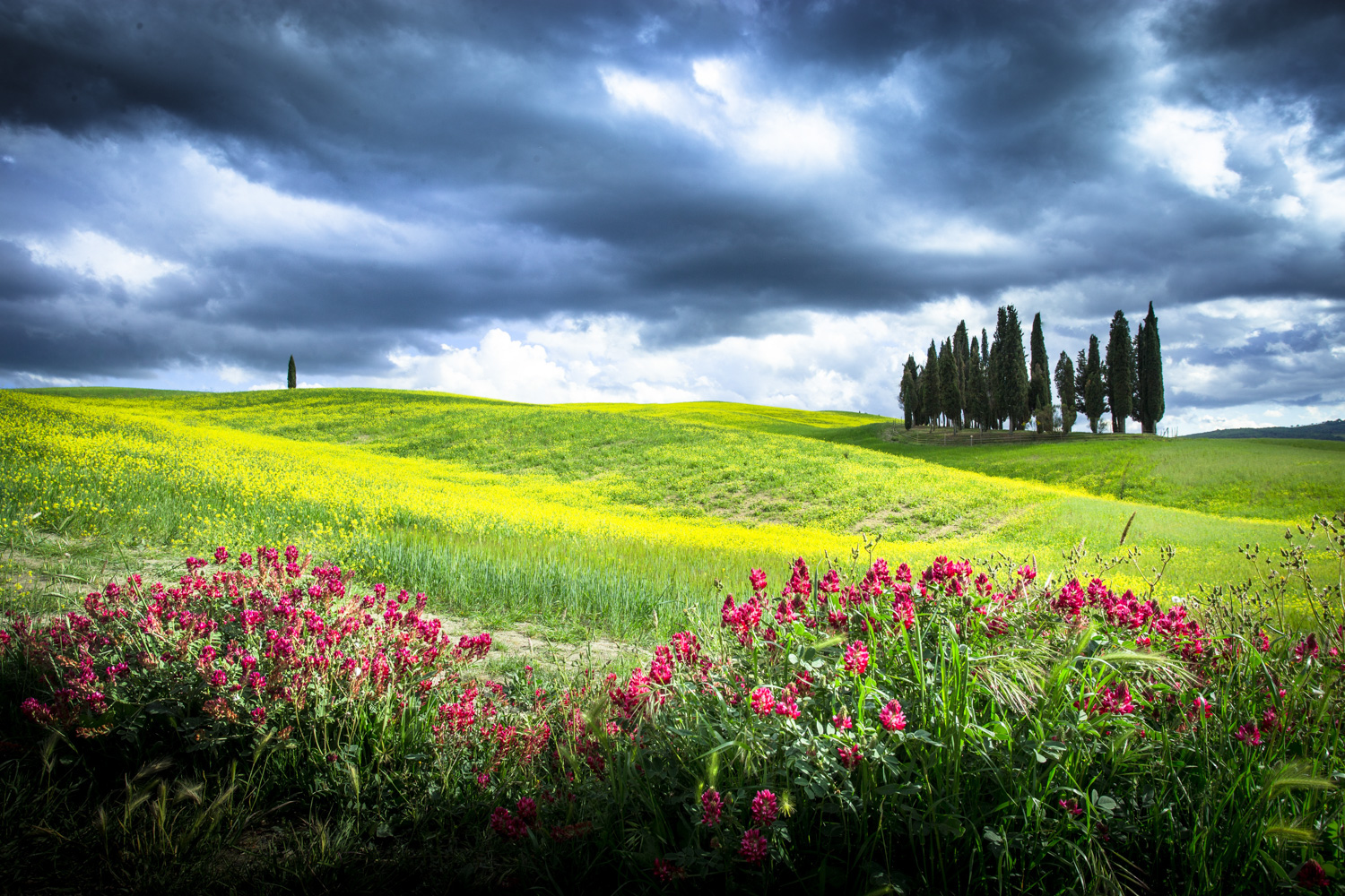 Séjour photo en Italie près de Montepulciano - Toscane