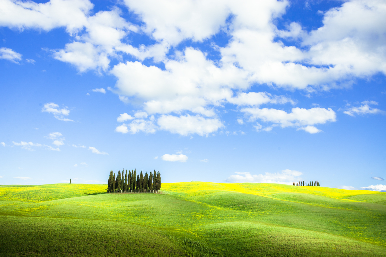 Séjour photo en Toscane, Cyprès et collines - Val d'Orcia