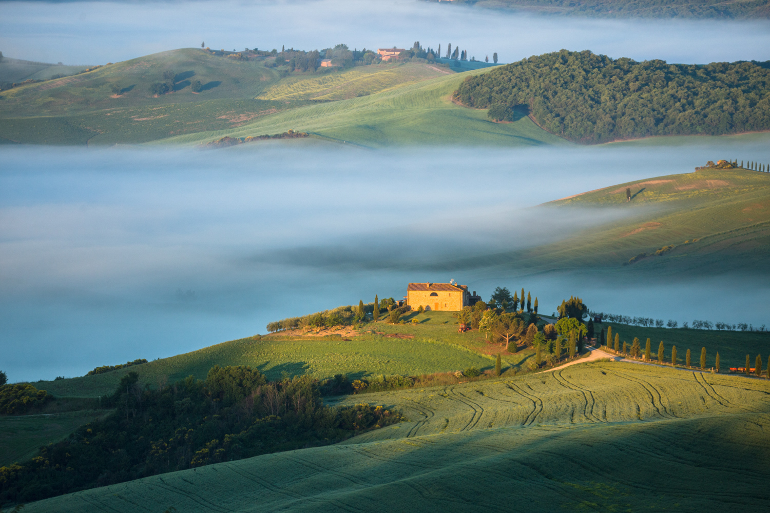 Brume et lumière lors du séjour photo en Toscane dans le Val d'Orcia