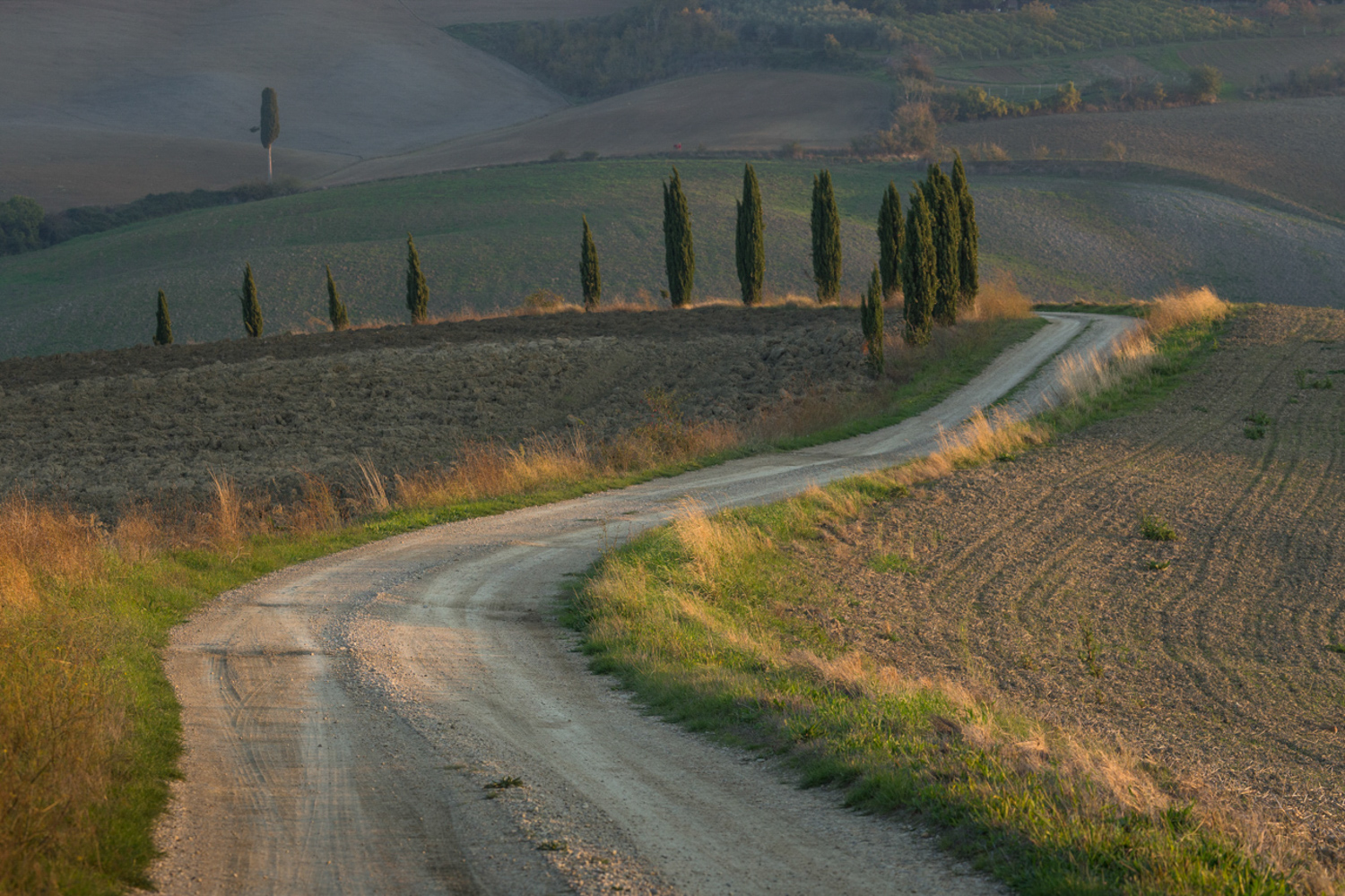 Chemin entre Pienza et Montichiello, Toscane