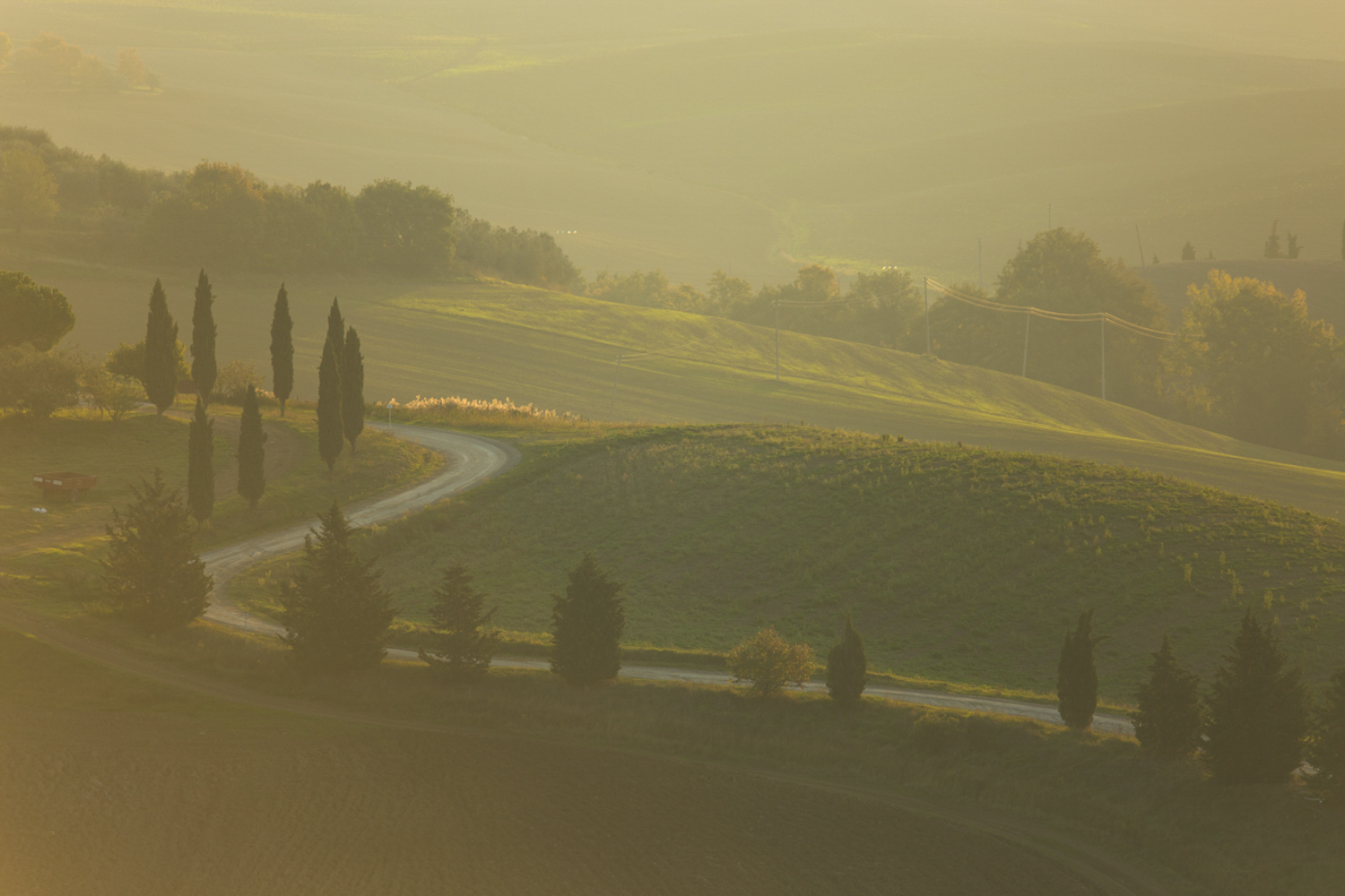 Route du Sud vers pienza, photo d'art - Toscane