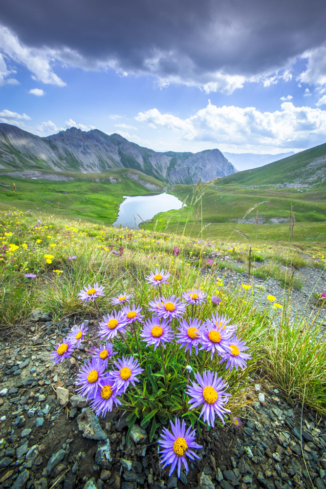 stage photo et lac de montagne dans le Queyras