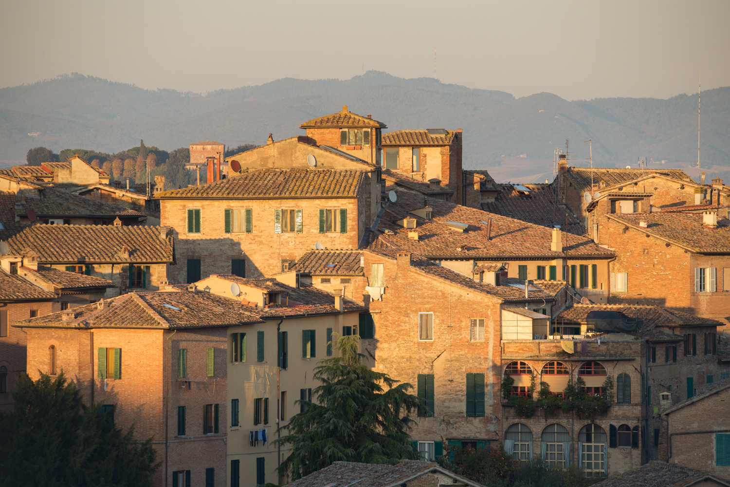 Montalcino en stage photo - Toscane