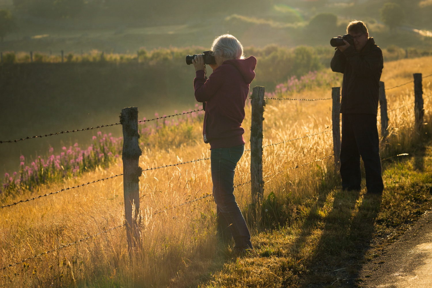 Prise de vue en stage photo - Plateau de l'Aubrac