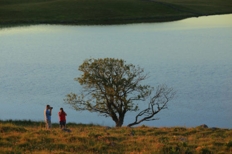 Atelier lumières en stage photo - Plateau de l'Aubrac