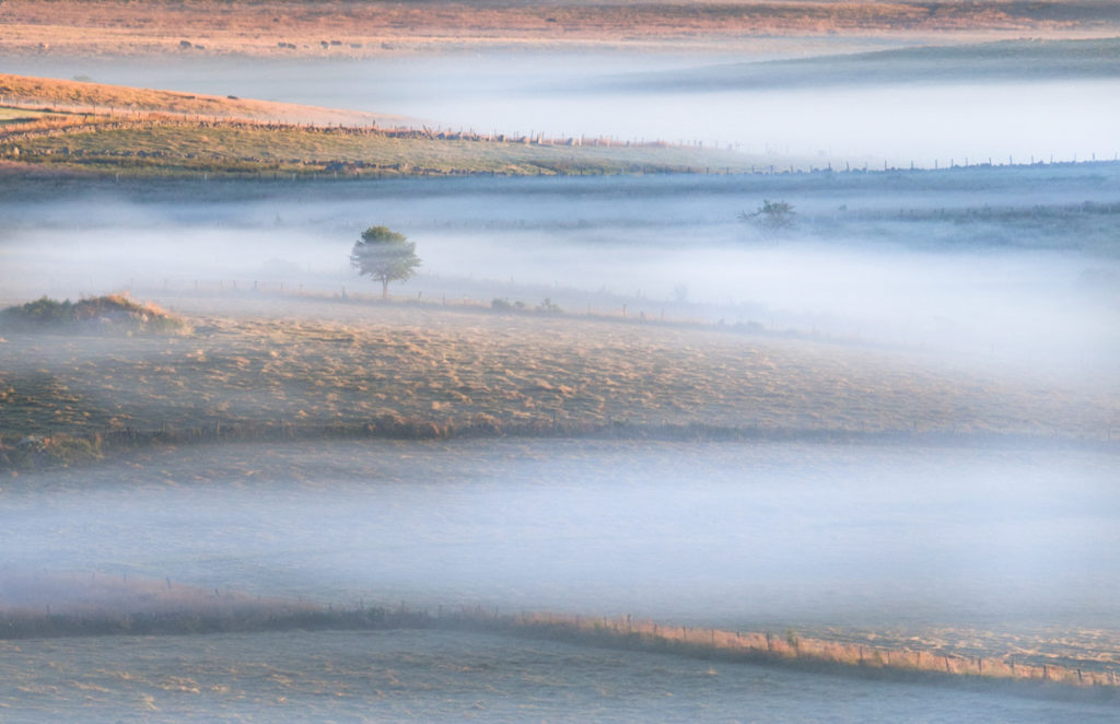 Les brumes matinales près de Nasbibnals - Plateau de l'Aubrac