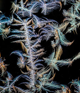 Séjour photo macro glace et neige