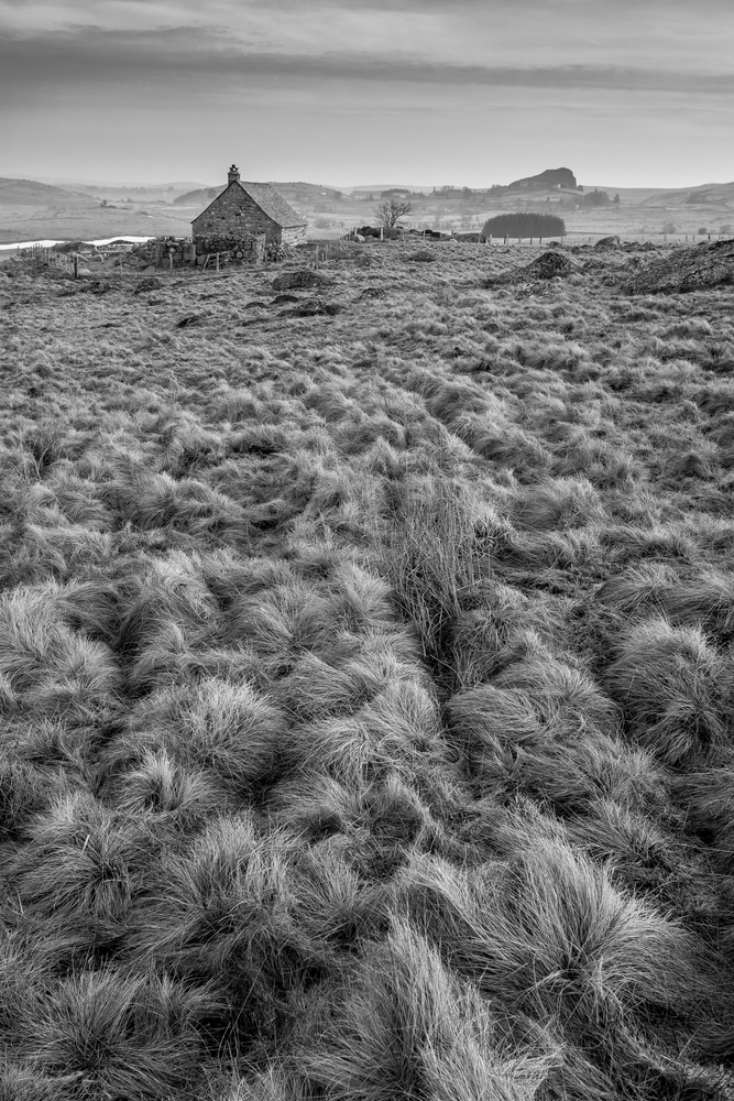 composer ses photos en noir et blanc, stage photo en automne en Aubrac