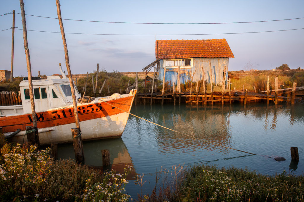 Un oeil sur la Nature | FRANCE – Charente maritime, île d’Oléron