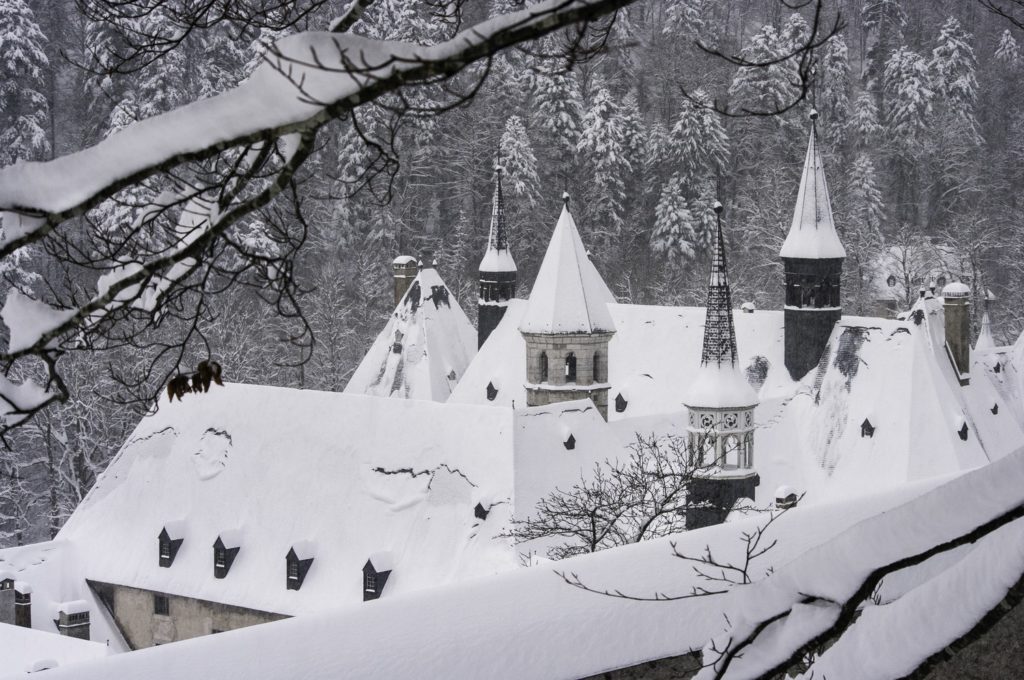 Un oeil sur la Nature | FRANCE – Évasion hivernale en Chartreuse