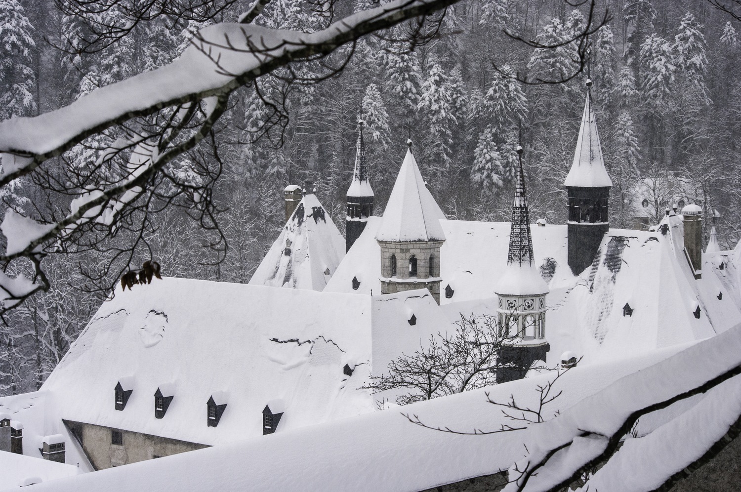 le monastère de la grande Chartreuse, stage photo hiver en Chartreuse