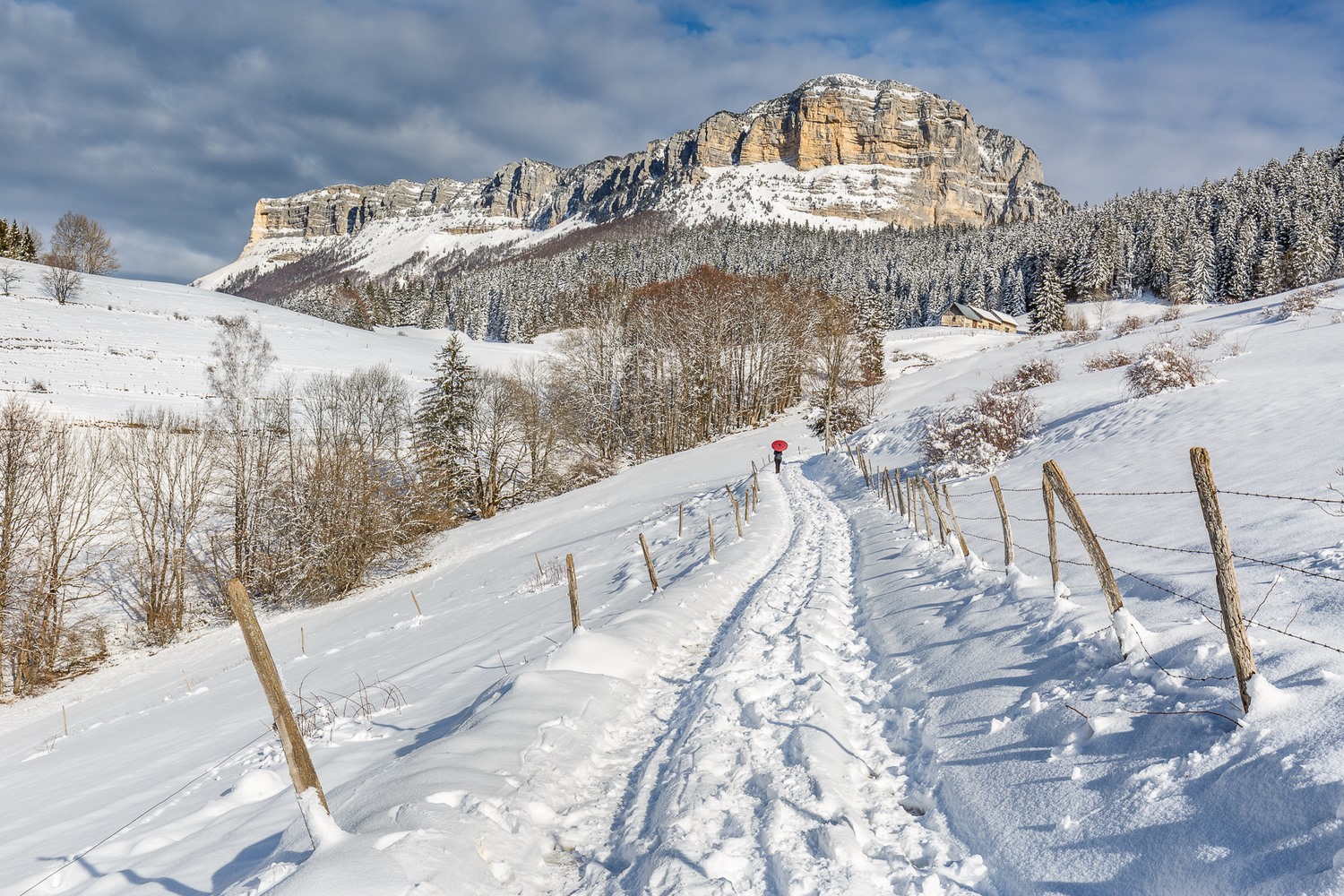 paysage de Chartreuse en hiver, photo de montagne en hiver