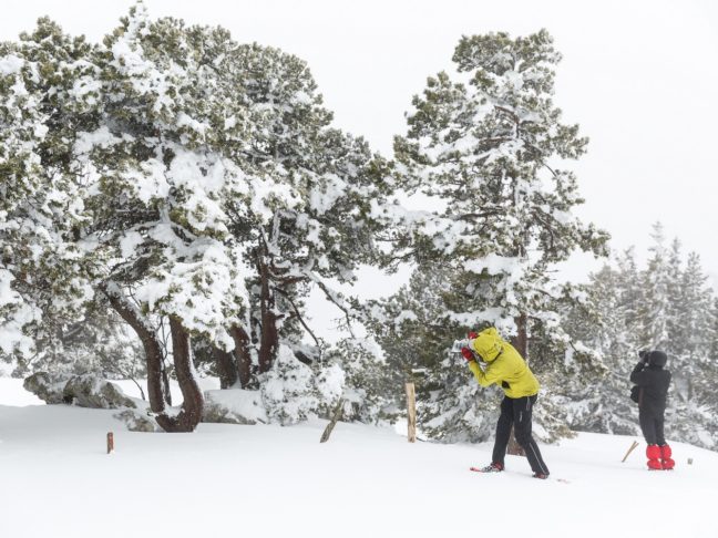 photographes pendant un stage photo hiver en montagne en Chartreuse