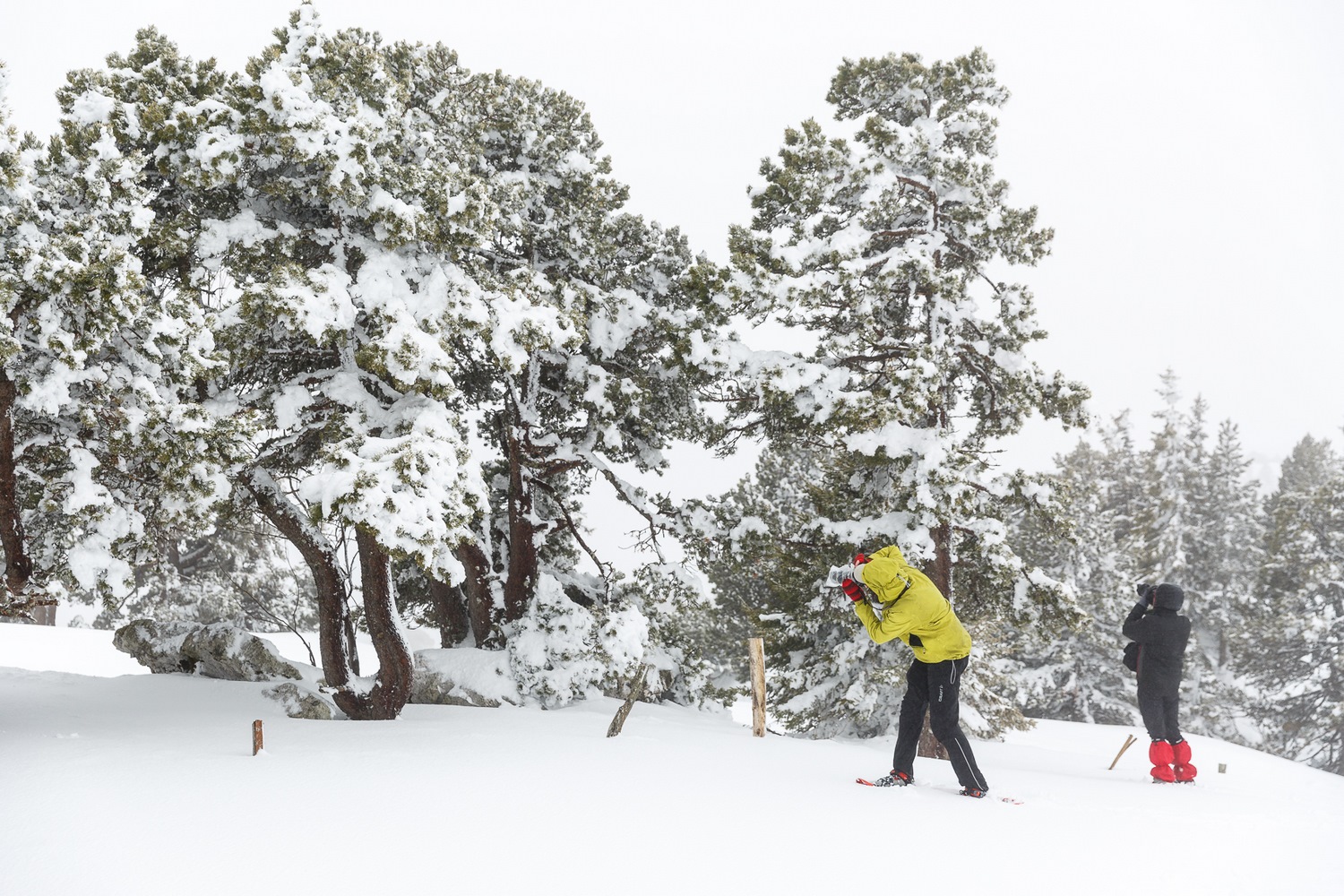 photographes pendant un stage photo hiver en montagne en Chartreuse