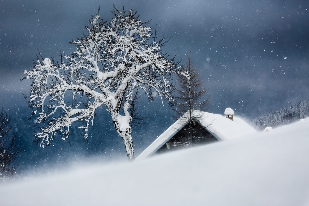 Un oeil sur la Nature | FRANCE – Évasion hivernale en Chartreuse