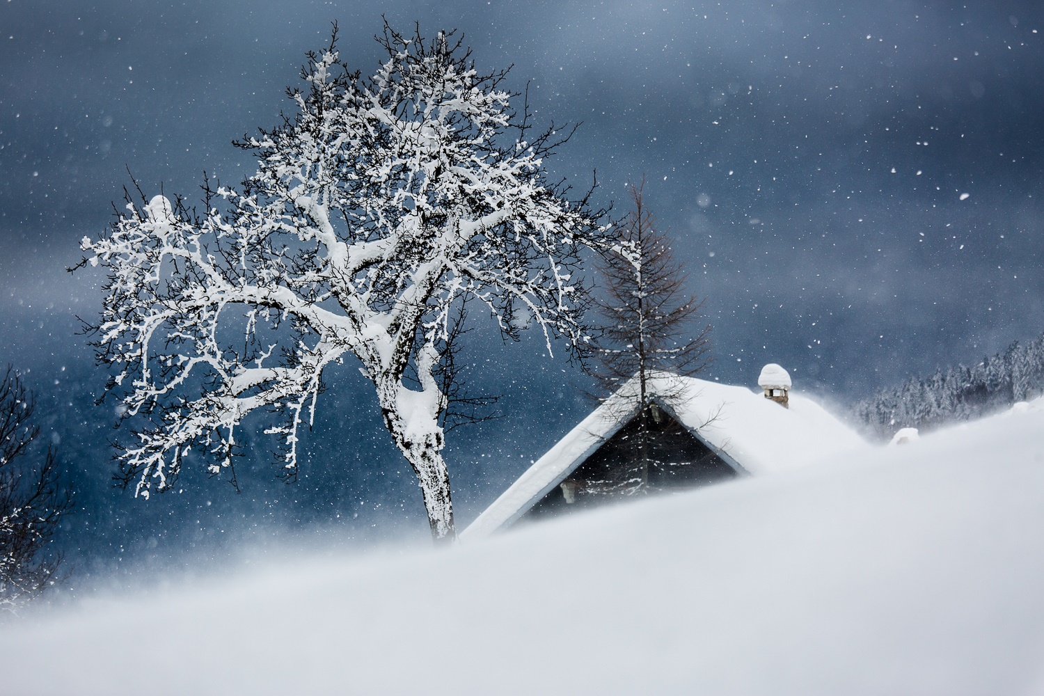 stage photo paysage d'hiver en Chartreuse, photo de neige en montagne