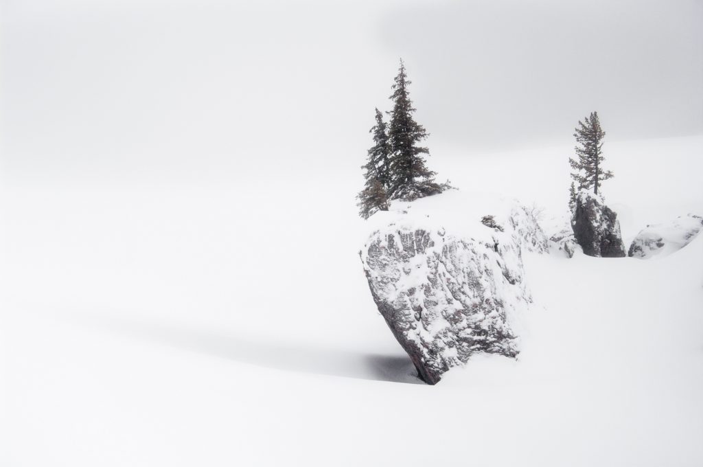 Un oeil sur la Nature | FRANCE – Évasion hivernale en Chartreuse