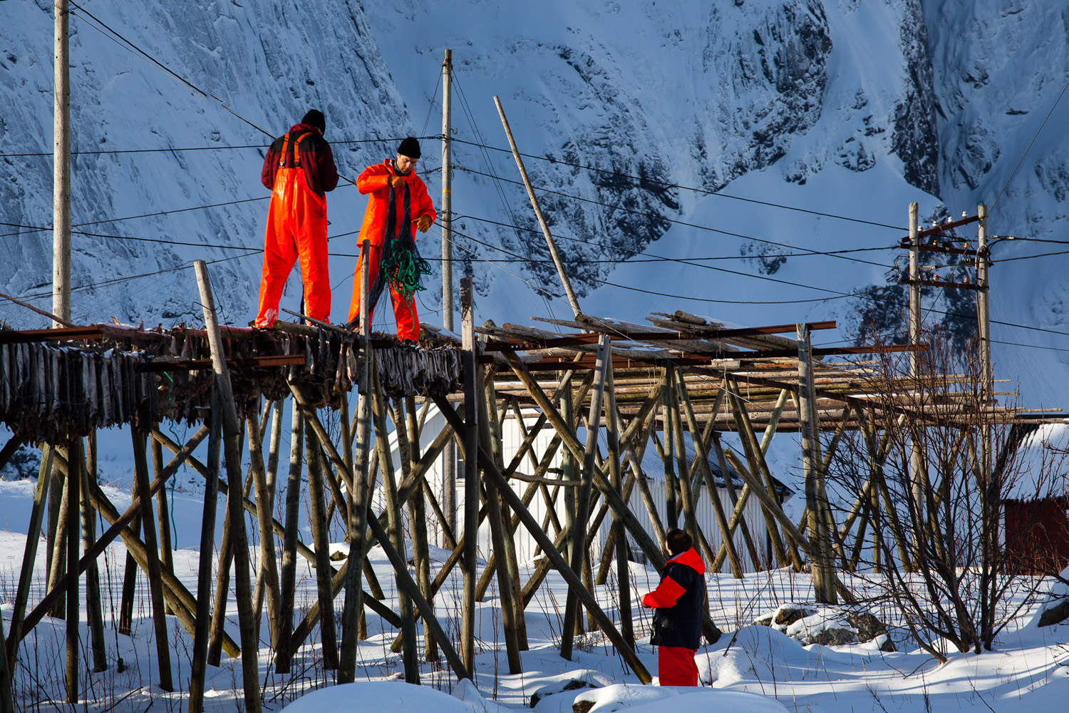 pêcheurs de morue à reine, dans les îles Lofoten, durant un voyage photo en Norvège en hiver