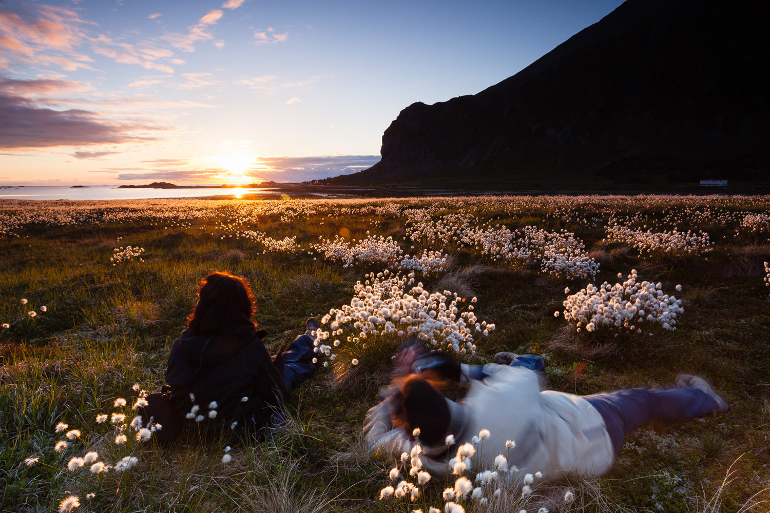 photographes lors d'un voyage photo dans les Lofoten, en Norvège, au milieu des linaigrettes, avec le soleil de minuit. Photographes dureing a photo tour in Lofoten, Norway, in the cottongrass and with the midnight sun