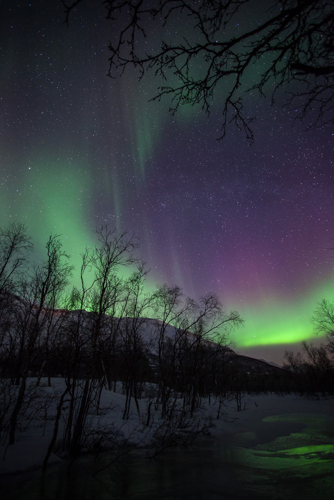 Photo d'aurores boréales sur une rivière gelée dans les Alpes de Lyngen, en Norvège