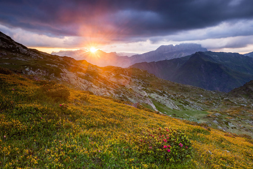 Un oeil sur la Nature | FRANCE – Un balcon sur le Mont Blanc