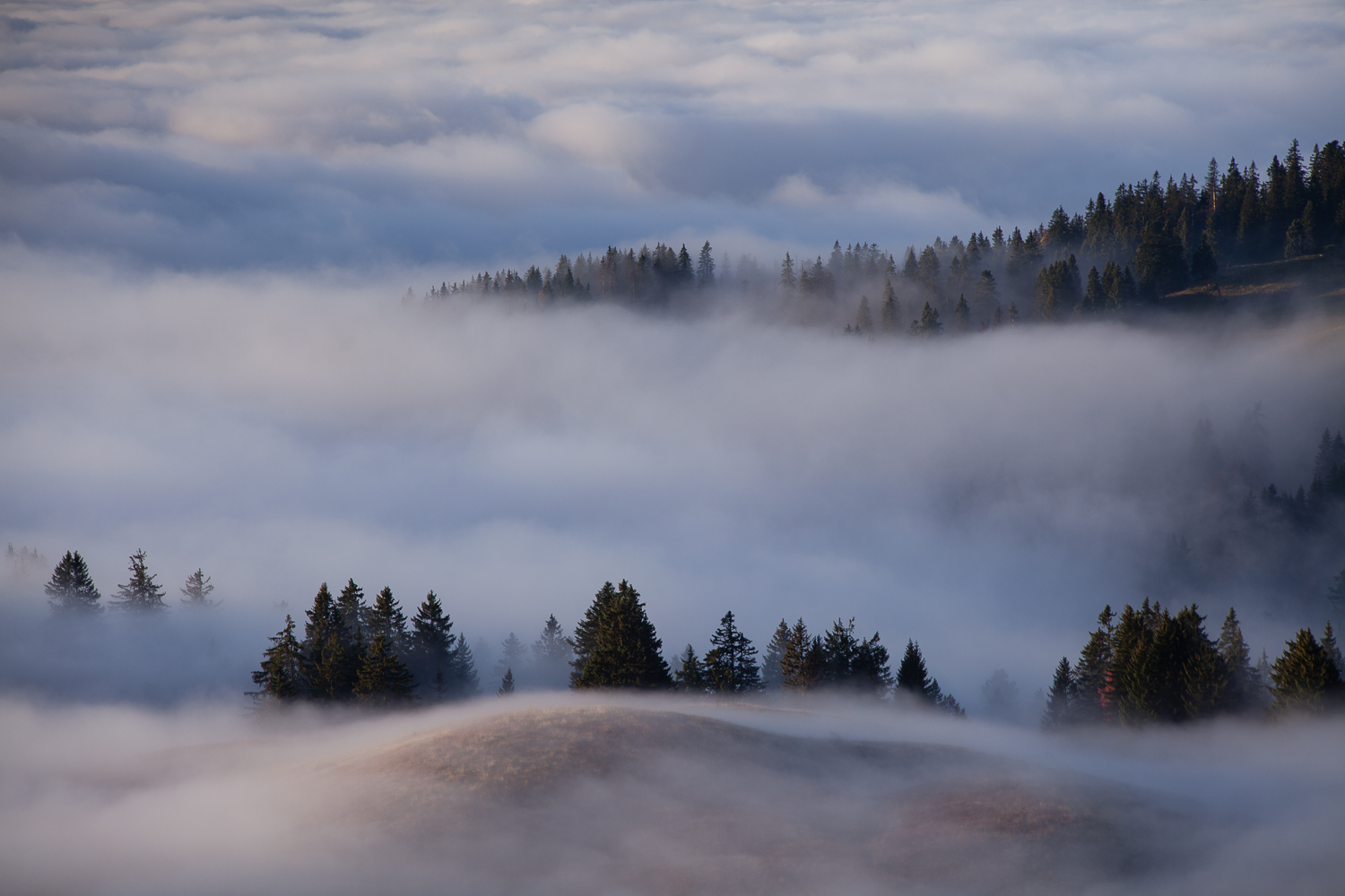 brumes matinales dans les montagnes des Bauges, dans les Alpes, près d'Annecy