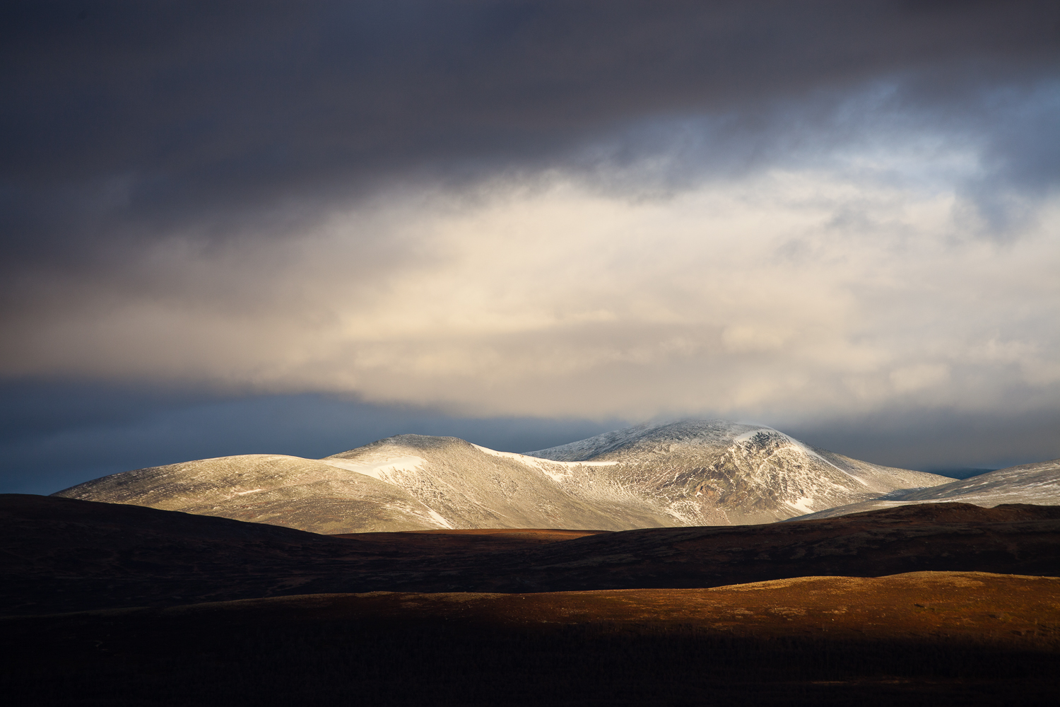 Lumières rasantes de l'automne sur la toundra du parc de Dovrefjell, en Norvège