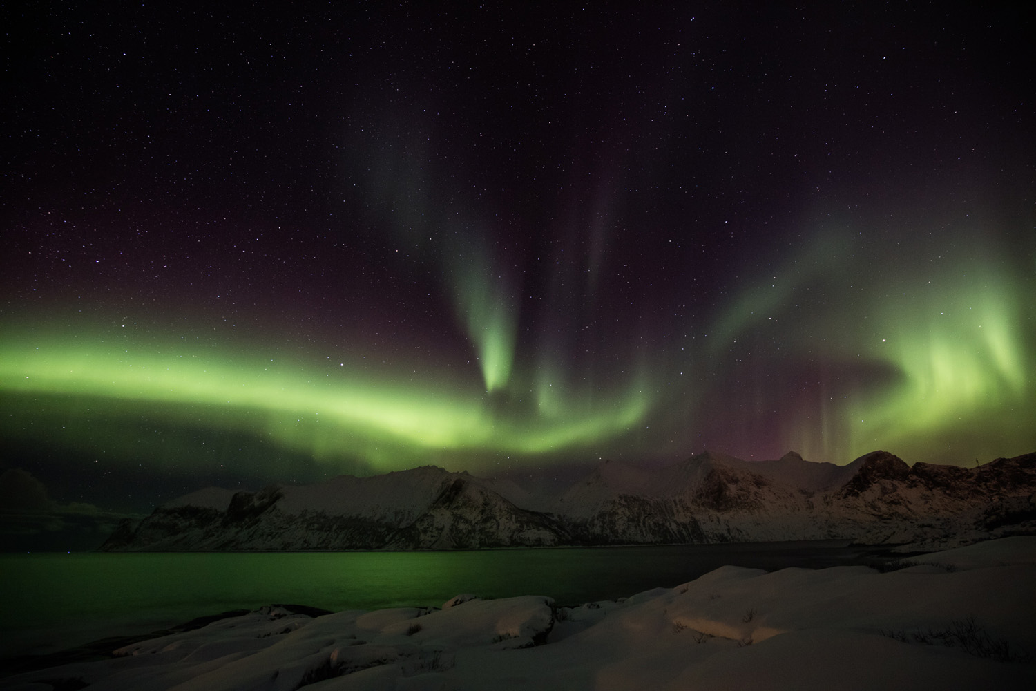 Photo d'aurores boréales à Mefjorvær, sur l'île de Senja, en Norvège