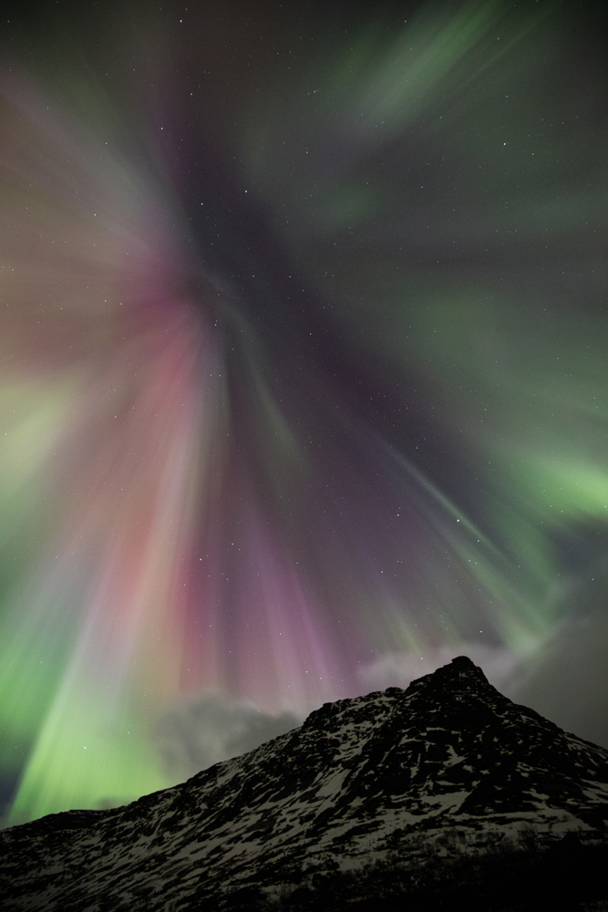 Aurores boréales en corona, pendant un voyage photo en Norvège, dans les îles Lofoten