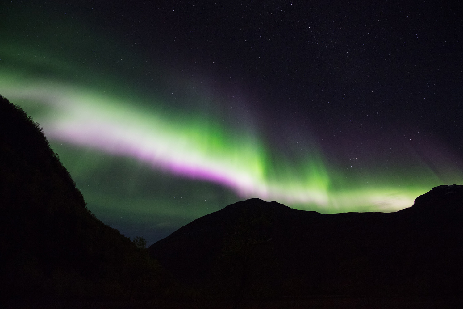 aurore boréale avec frange rose de l'azote dans les Alpes de Lyngen, en Norvège. Northern light with nitrogen purple fringe in the Lyngen Alps, in Norwayps