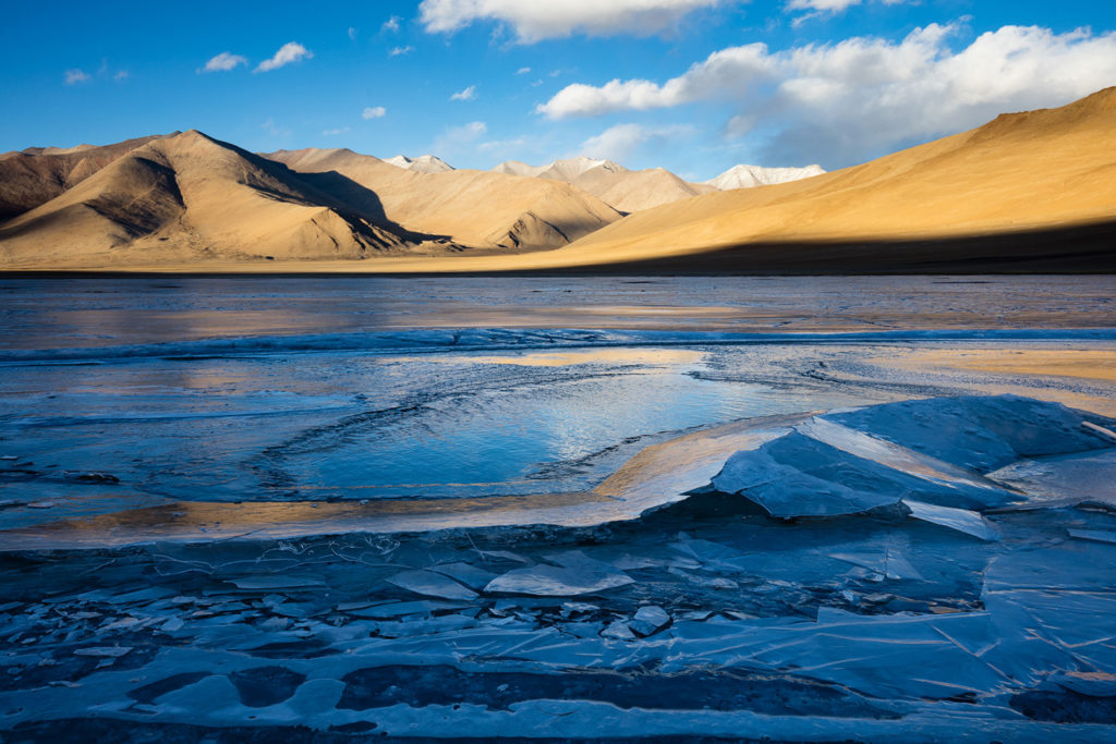 Un oeil sur la Nature | LADAKH – La panthère des neiges