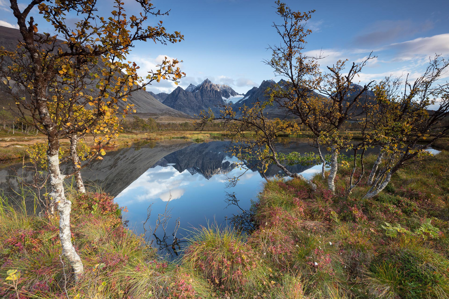 lac et bouleaux en automne dans les Alpes de Lyngen, lors d'un voyage photo près de Tromsø en Norvège