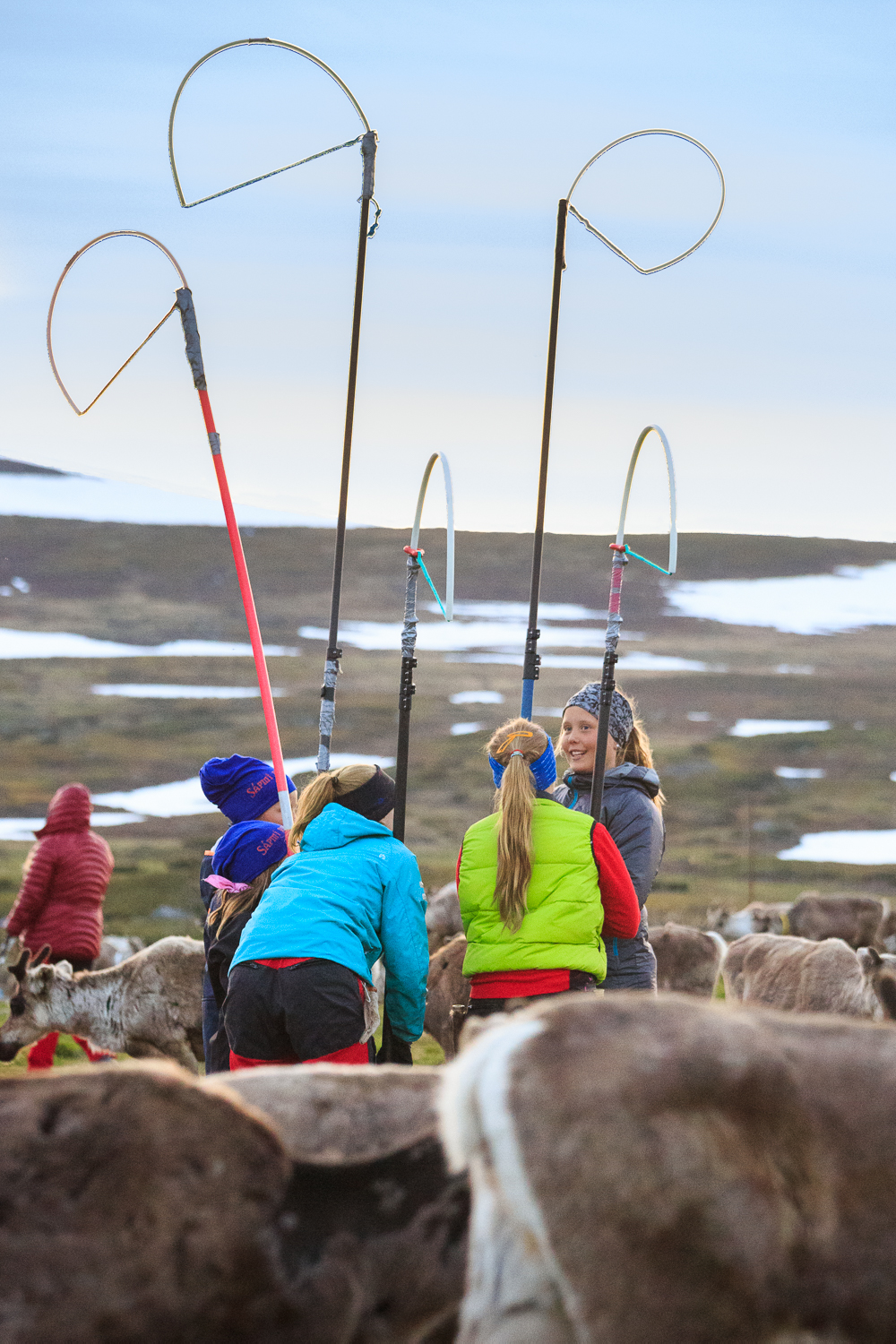 trek photo laponie, jeunes filles au marquage des rennes dans le parc du Padjelanta