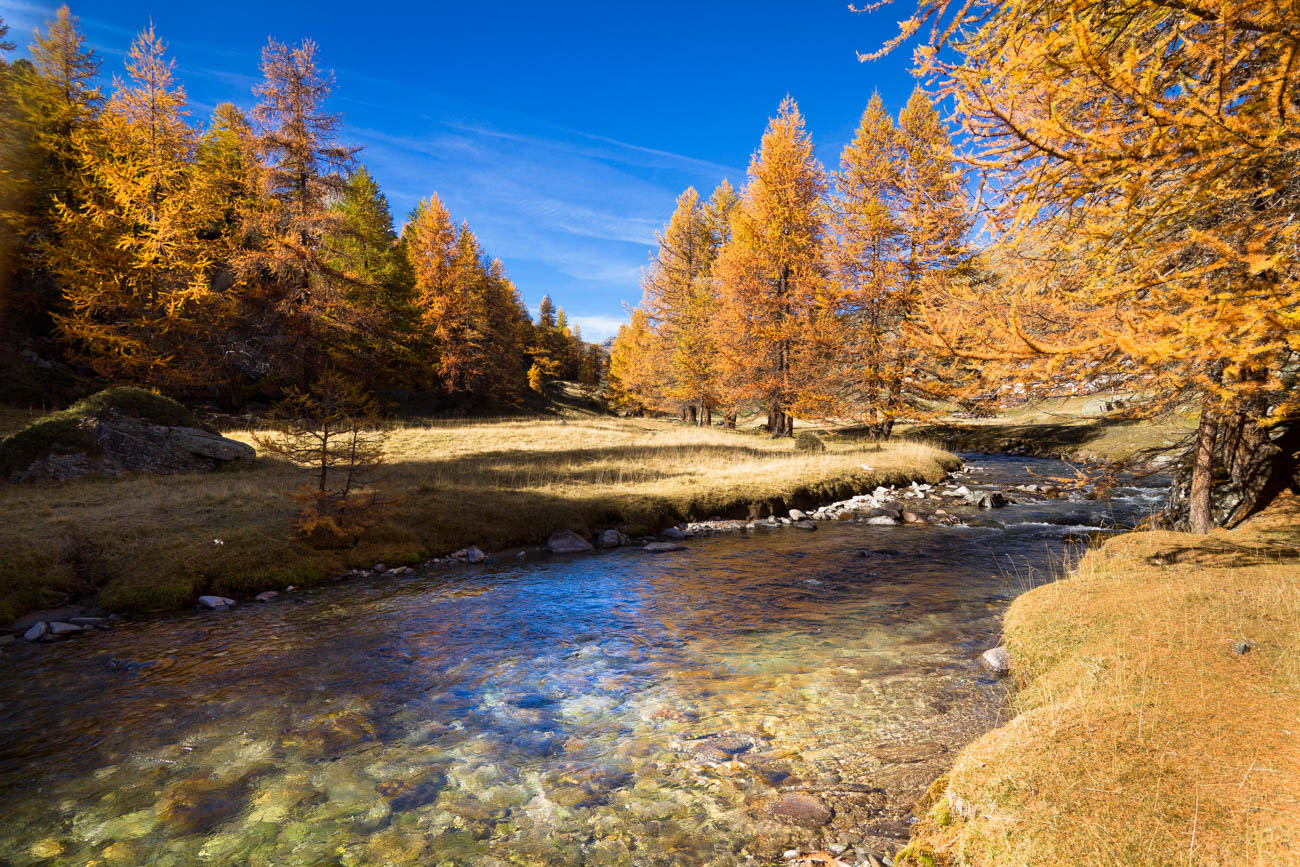 Rivière de la Clarée à l'automne