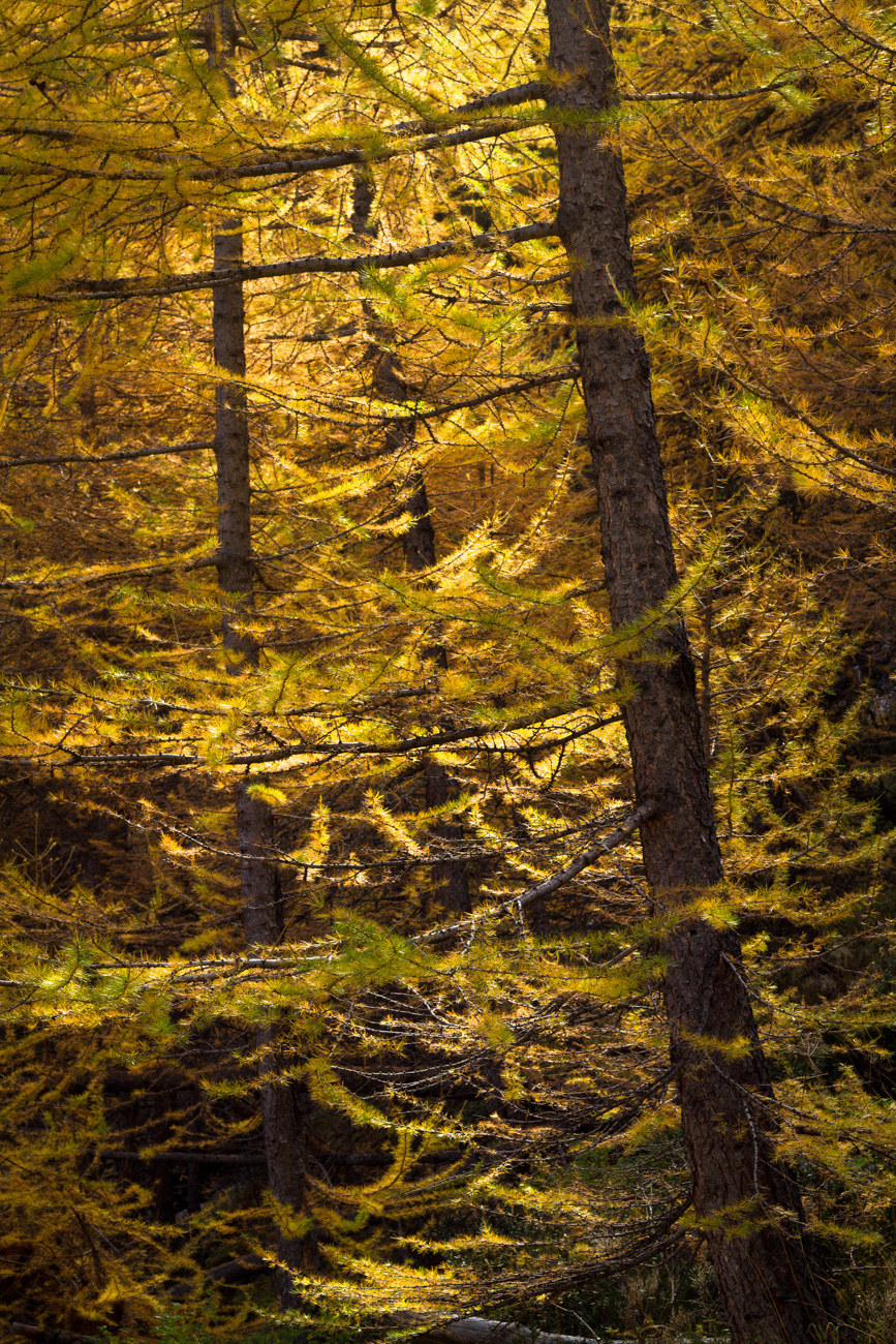 Lueurs d'automne en Clarée