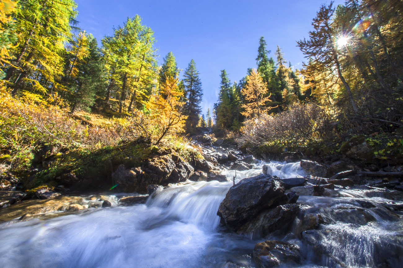 Torrent aux couleurs de l'automne