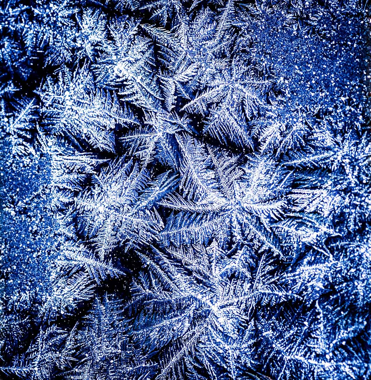 Givre en macro photo