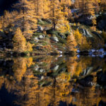 Reflet automnal dans le Grand Paradis