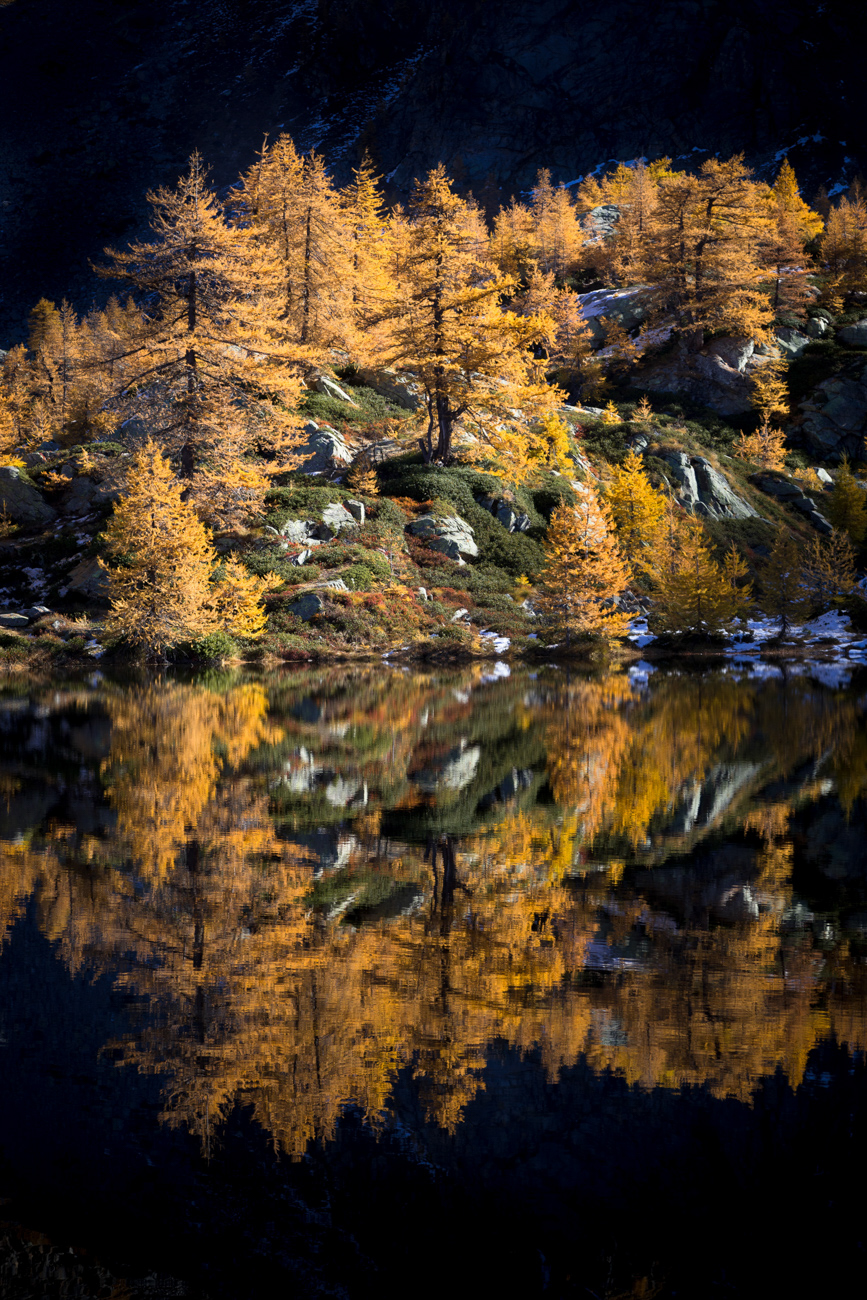 Reflet automnal dans le Grand Paradis