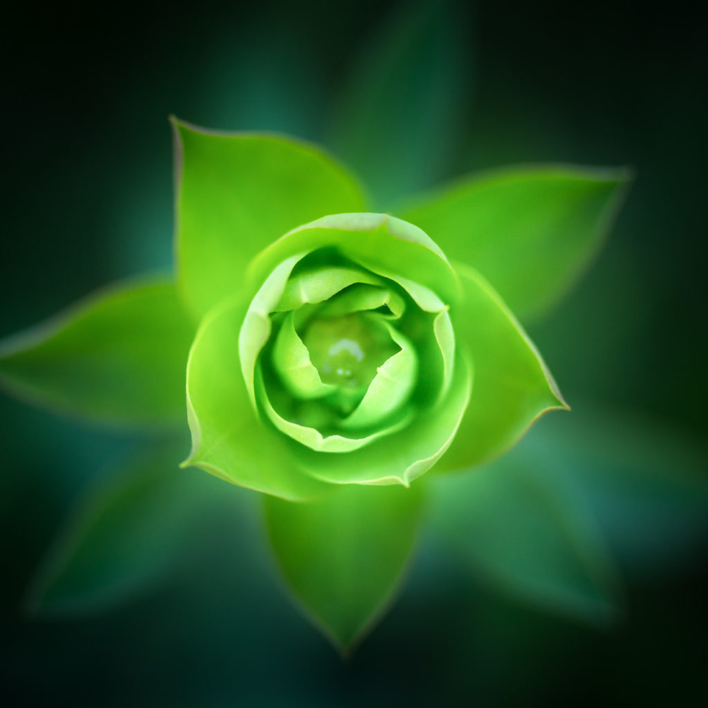 Un oeil sur la Nature | FRANCE – Trésors de Haute-Provence