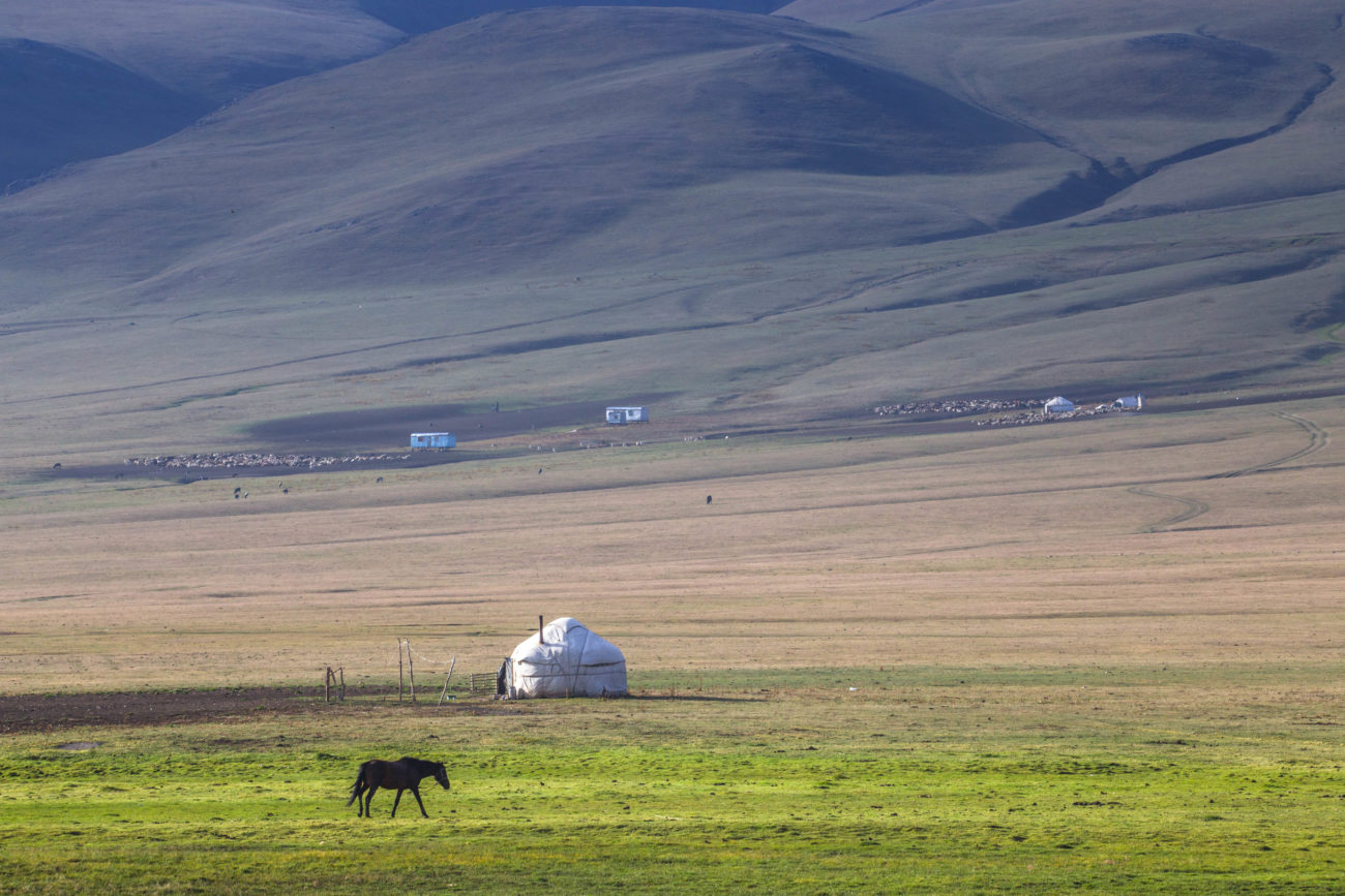 Cheval et Yourte en voyage photo