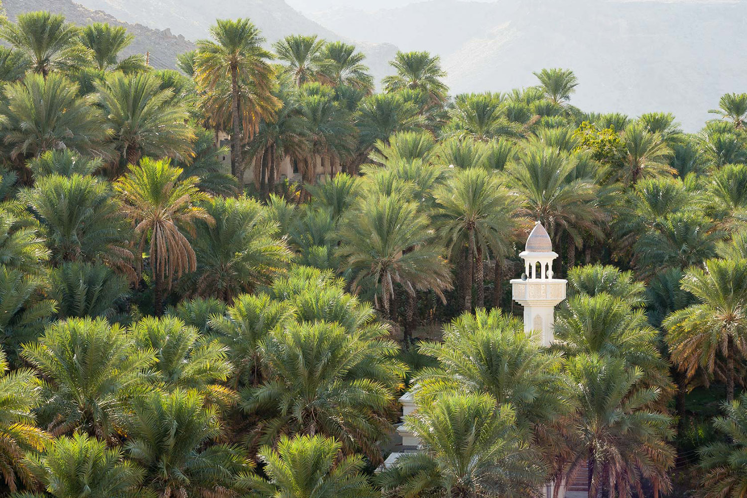 minaret de mosquée à Oman