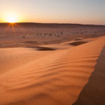 dunes de Wahiba sand pendant un voyage photo au Sultanat d'Oman