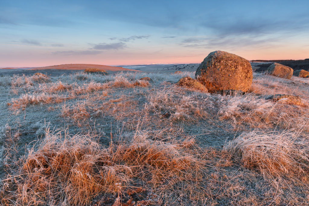 Un oeil sur la Nature | FRANCE – L’Aubrac en parure d’hiver