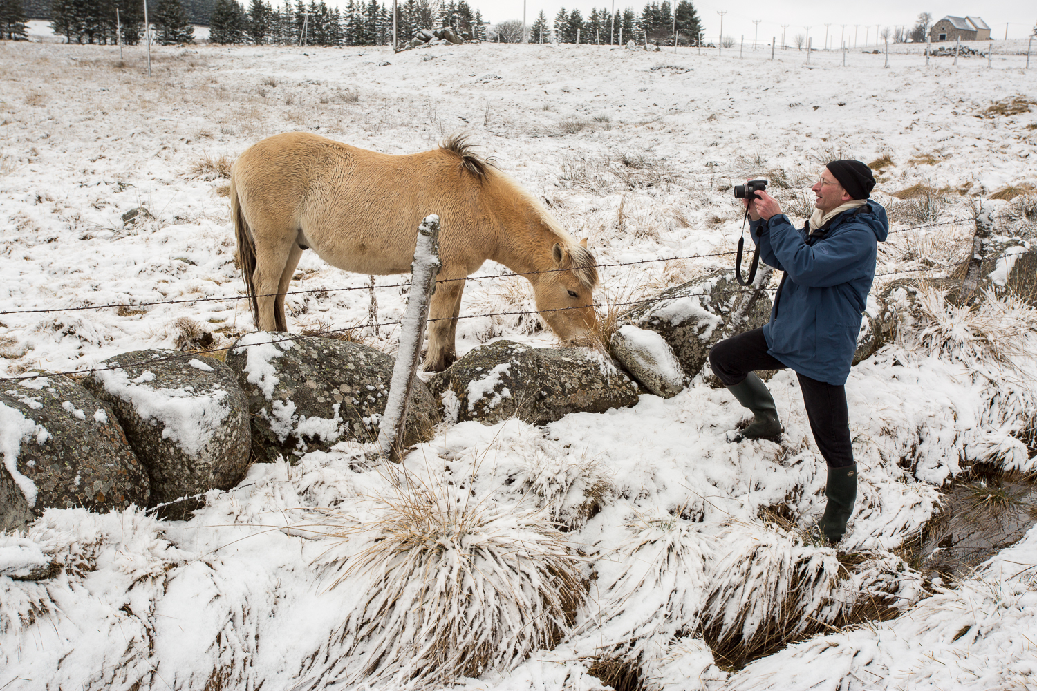 stage photo l'hiver en Aubrac