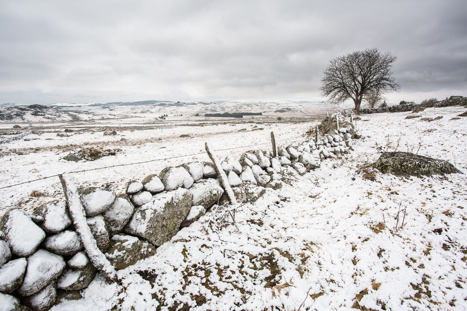 l'Aubrac en hiver , premières neiges