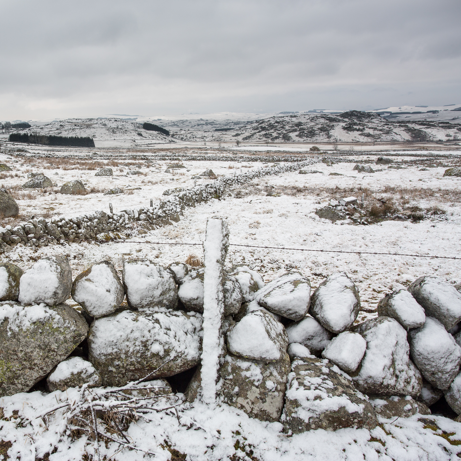 l'hiver en Aubrac, murs de pierre