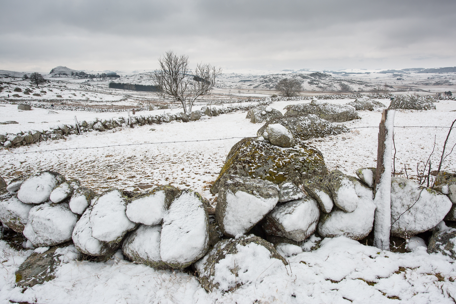 l'hiver en Aubrac, murs de pierre
