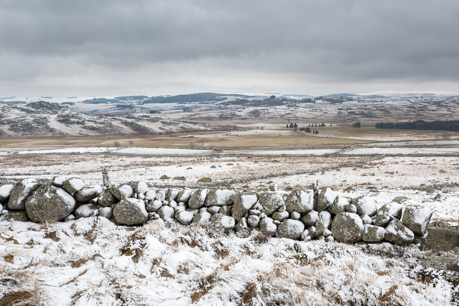 Murets et paysage de neige, stage photo en Aubrac