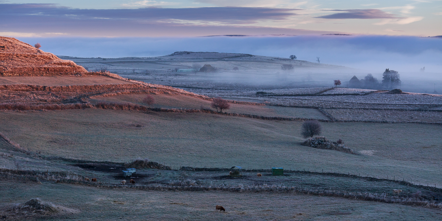 Lever d'hiver en Aubrac, stage photo en Aubrac